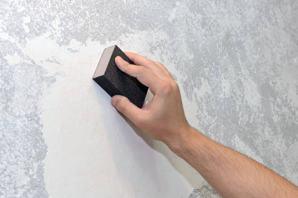 Best Crawl Space Mold Remediation  in Mountain Home, ID