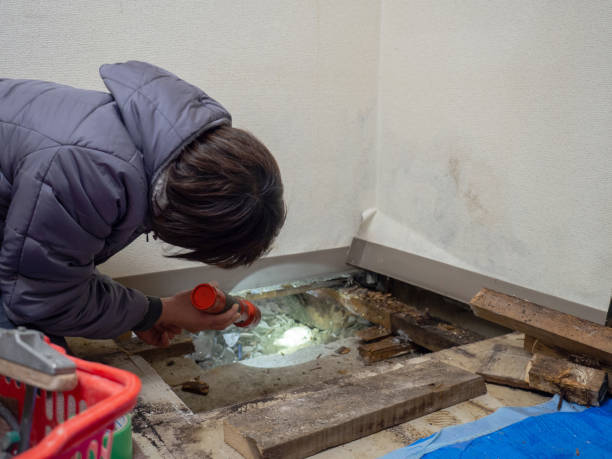 Mold Remediation for Rental Properties in Mountain Home, ID