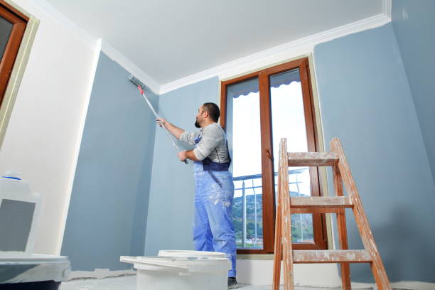 Best Mold Damage Restoration  in Mountain Home, ID