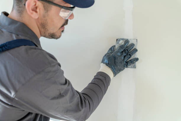 Best Mold-Related Health Consultation  in Mountain Home, ID