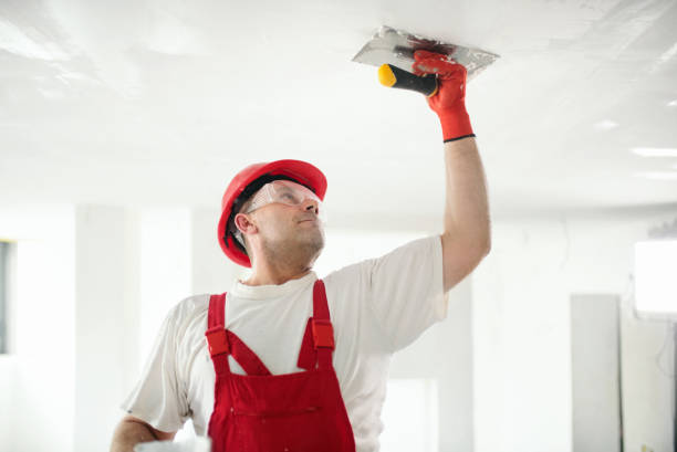 Best HVAC Mold Inspection and Cleaning  in Mountain Home, ID