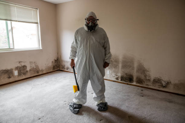 Best Industrial Mold Remediation  in Mountain Home, ID