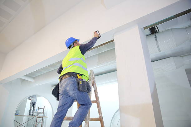 Best Real Estate Mold Inspection  in Mountain Home, ID