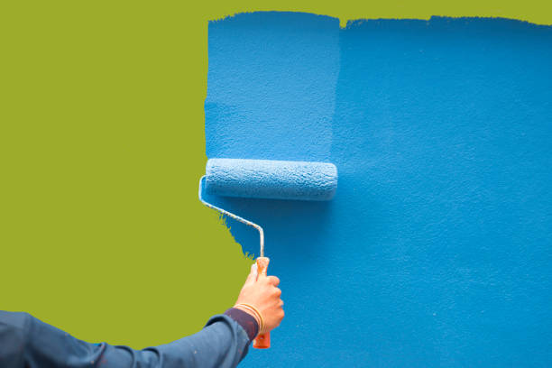 Best Attic Mold Removal  in Mountain Home, ID