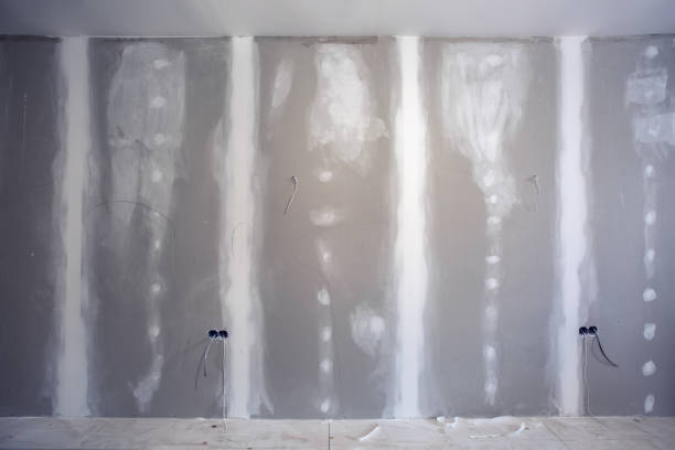 Best Mold Remediation for Rental Properties  in Mountain Home, ID